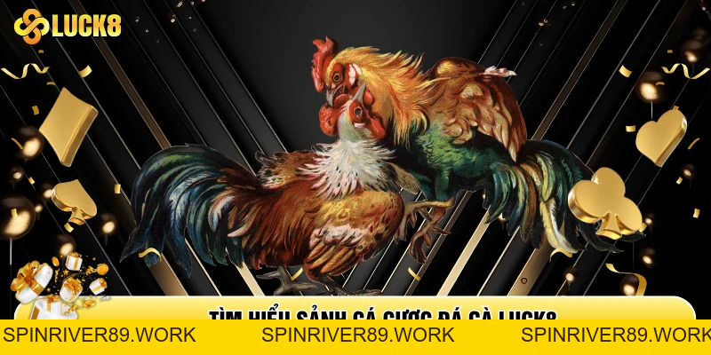 Đá Gà Luck8 - Sân Chơi Hội Tụ Chiến Kê Top Đầu Châu Á
