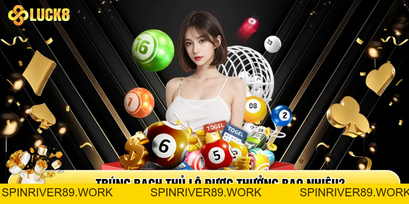 Bạch Thủ Lô Là Gì? Cách Soi Cầu BLT Chuẩn